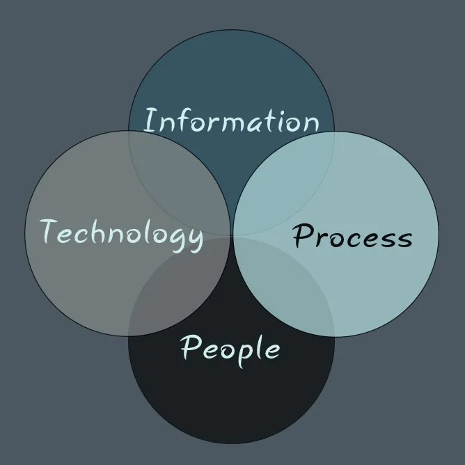 Four overlapping circles representing Information, Technology, Process and People as interconnected elements of the working process.